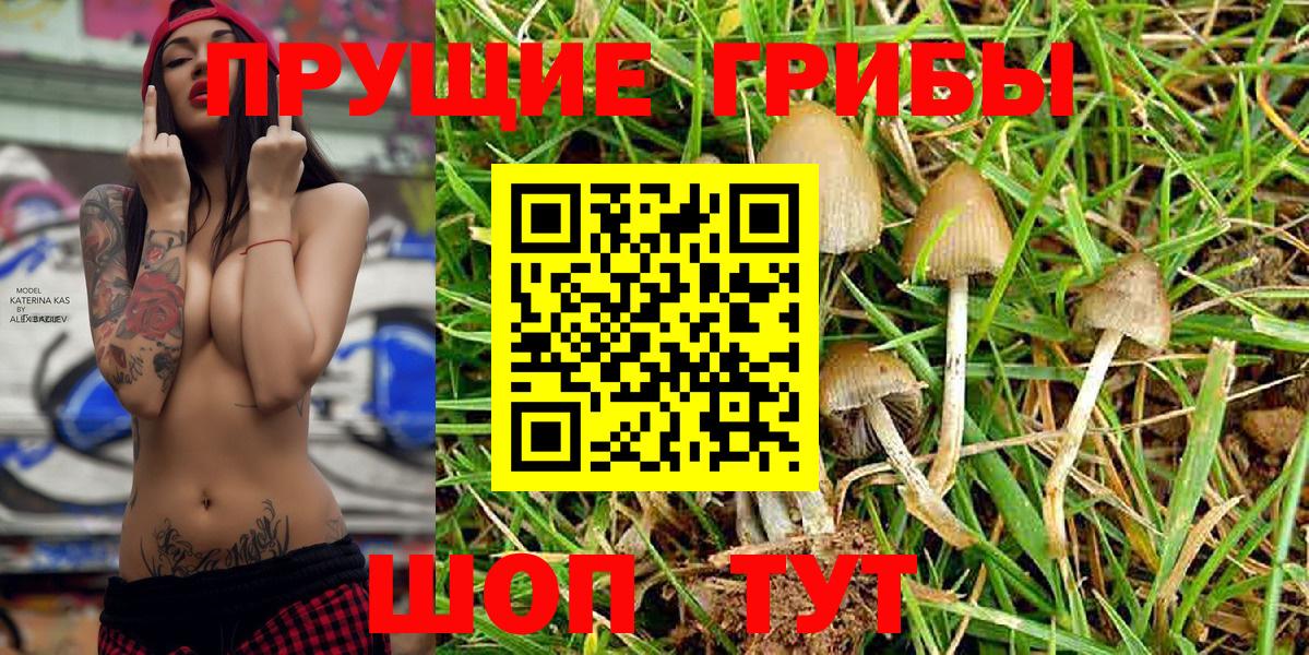 Галлюциногенные грибы Magic Shrooms Кызыл
