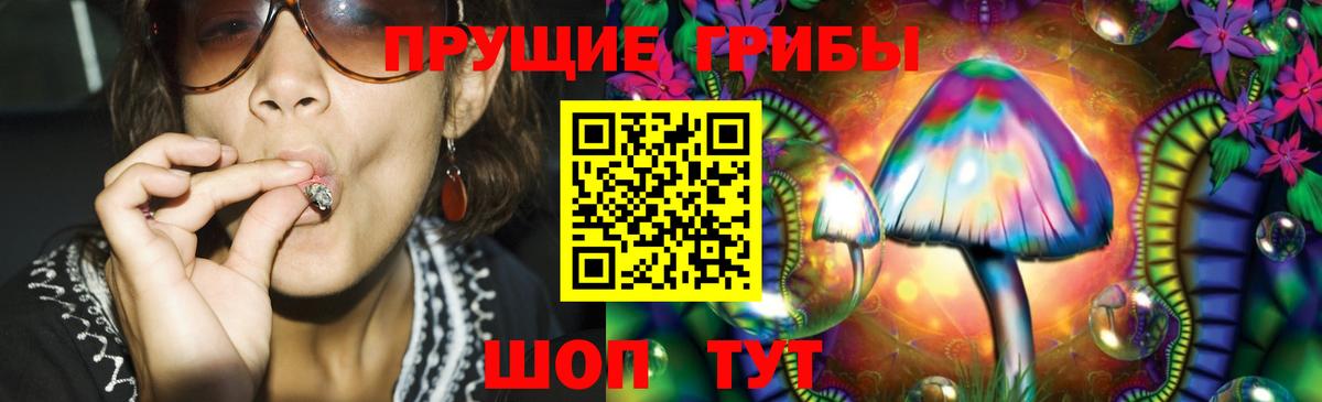 Кызыл  Псилоцибиновые грибы ЛСД  Вход с VPN 